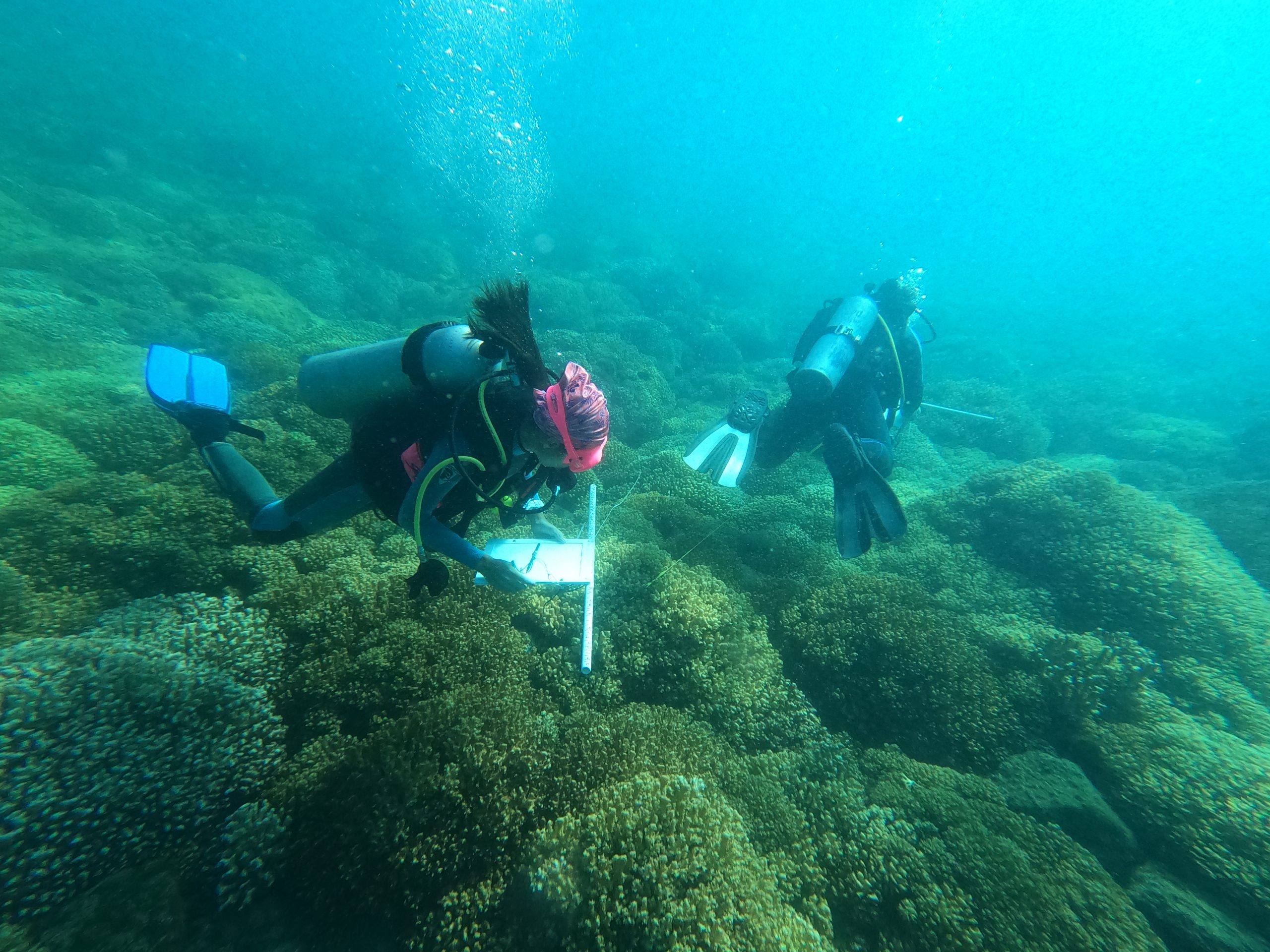 DCIM100GOPROGOPR1348.JPG